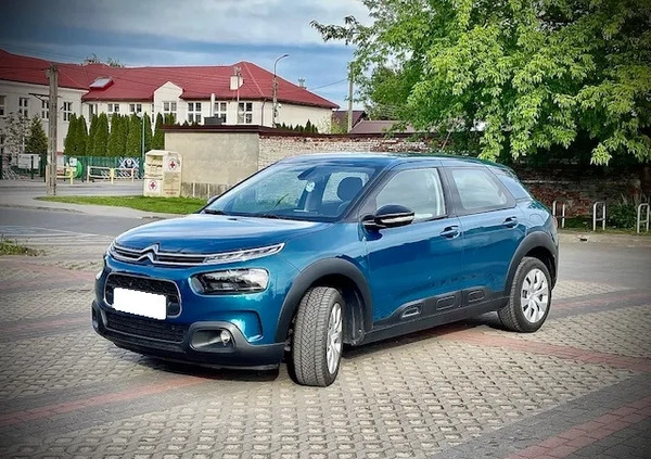 Citroen C4 Cactus cena 49815 przebieg: 55000, rok produkcji 2018 z Białogard małe 277